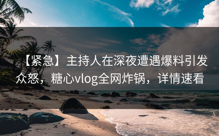 【紧急】主持人在深夜遭遇爆料引发众怒,糖心vlog全网炸锅,详情速看 【紧急】主持人在深夜遭遇爆料引发众怒,糖心vlog全网炸锅,详情速看
