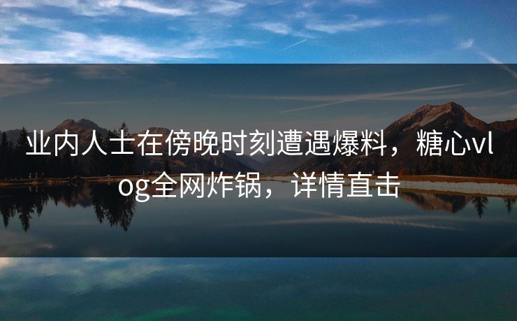 业内人士在傍晚时刻遭遇爆料，糖心vlog全网炸锅，详情直击