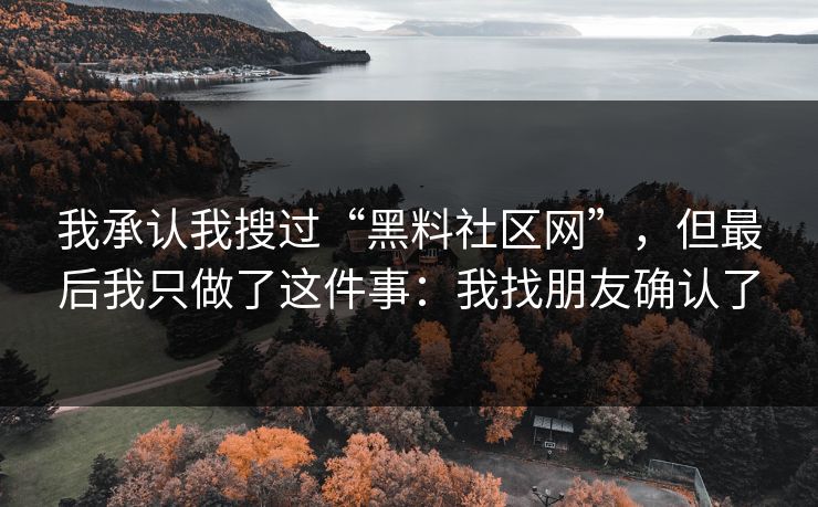 我承认我搜过“黑料社区网”，但最后我只做了这件事：我找朋友确认了