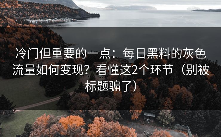 冷门但重要的一点:每日黑料的灰色流量如何变现?看懂这2个环节(别被标题骗了) 冷门但重要的一点:每日黑料的灰色流量如何变现?看懂这2个环节(别被标题骗了)