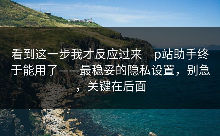 看到这一步我才反应过来｜p站助手终于能用了——最稳妥的隐私设置，别急，关键在后面